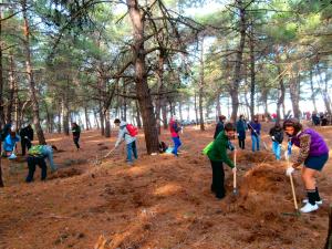 OLYMPUS DIGITAL CAMERA