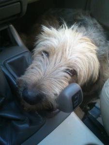 23939_4005681737278_1598117438_n