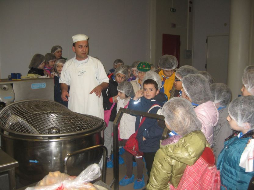 1795368_748491168494305_2057374443_o