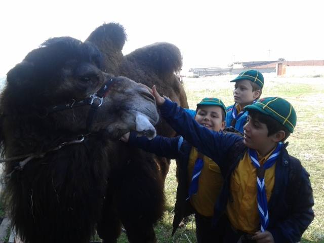 10402720_10203850879424878_5608867220384306369_n