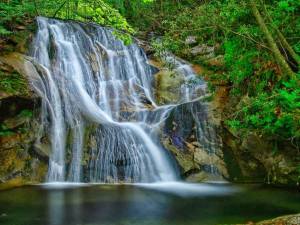 1506667_10204293067983648_8616388591036676932_n