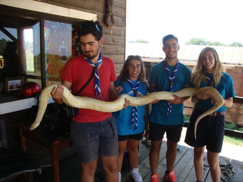 11995198_1016199868444460_1036052244_o