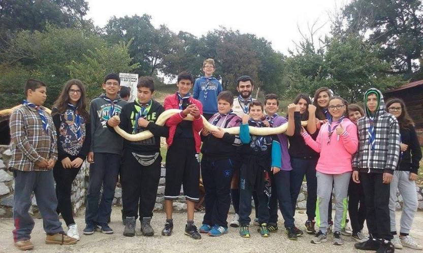 12122859_985902314809087_5110847414137501851_n