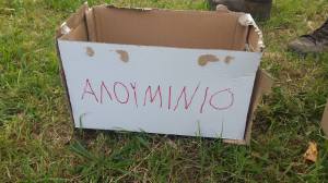 13351245_10206693821729009_1278240882_o17 - Αντιγραφή - Αντιγραφή - Αντιγραφή