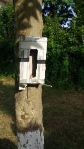 13390924_10206693872410276_1413596323_n4