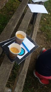 13393111_10206693826169120_118914049_n11